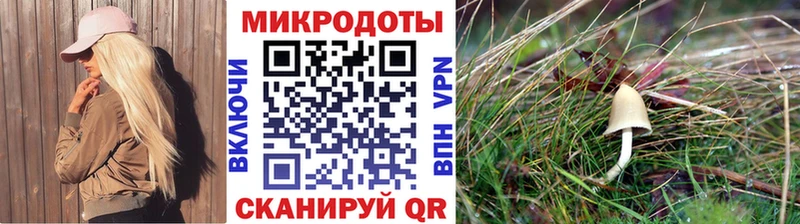 Галлюциногенные грибы мицелий  Инта 